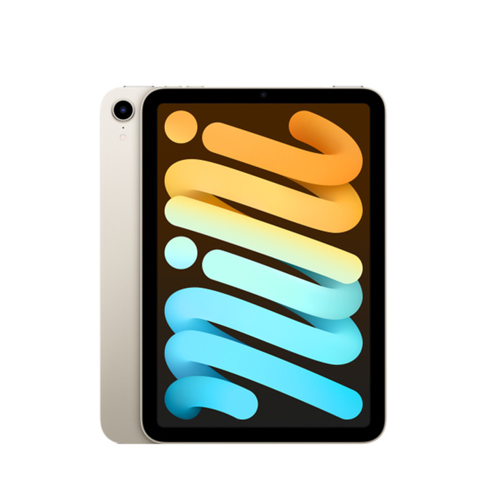 Apple iPad Mini 6 (64 GB) Argento - Grado Estetico: Ottimo - Batteria Oltre 85%