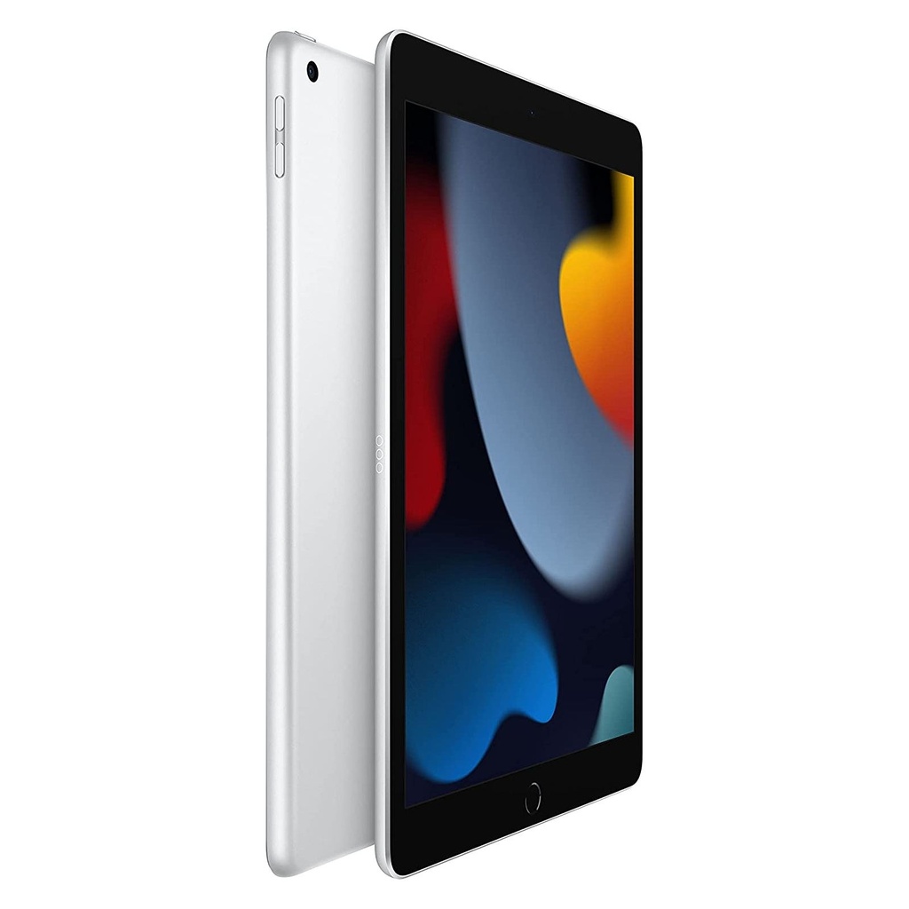 Apple iPad 10 WiFi (256 GB) Argento - Grado Estetico: Ottimo - Batteria Nuova