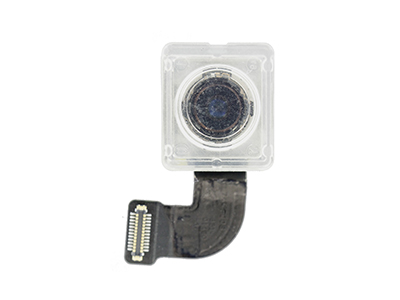 [IP0008CPC] Apple iPhone 8 Modulo Camera Posteriore (No Logo)
