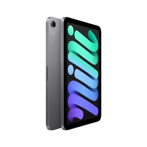 [APPIPADMN8.3(2021)6AGENERAZIONEWIFI64GRGSDRL22] Apple iPad Mini 8.3 (2021) 6a Generazione WiFi (64 GB) Grigio Siderale - Grado Estetico: Ottimo - Batteria Oltre 85%